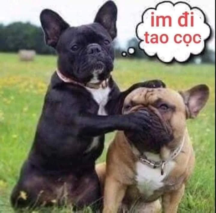 hàng gởi bán giá tốt căn hộ Bcons green View